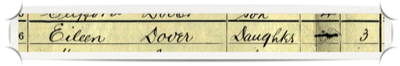Census snippet 2