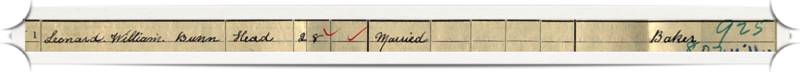 Census snippet 3