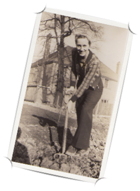 Digging